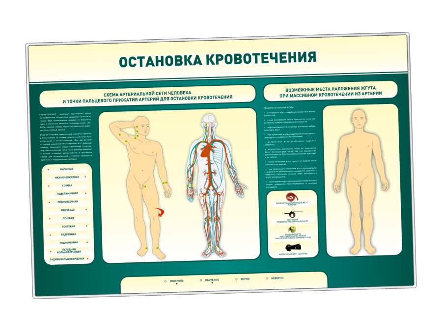 Электрифицированный учебный стенд "Остановка кровотечения"